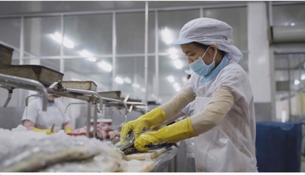 Seafood exports enjoy bright prospects in Swiss market