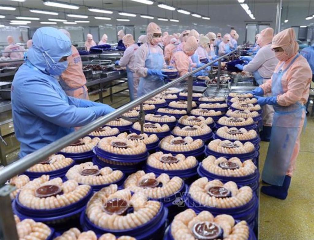 Challenges remain for Vietnam’s aquaculture exports