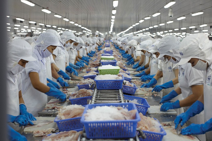 Hụt hẫng lợi nhuận ngành thủy sản