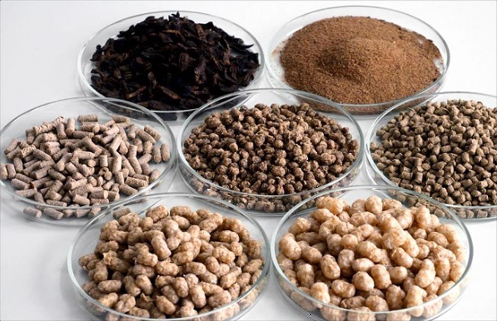 Peru Xuất khẩu bột cá sụt giảm