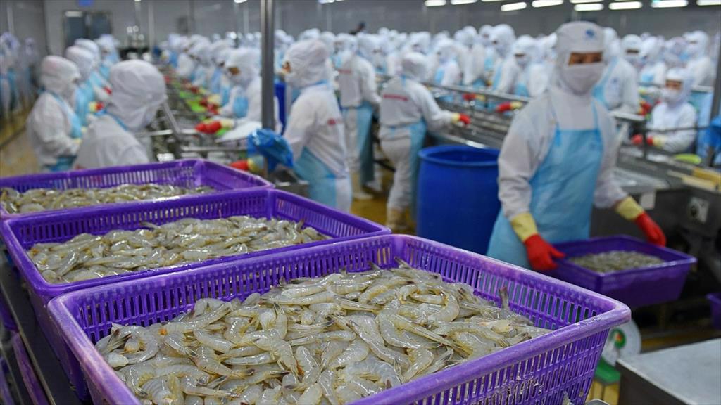 Thực phẩm Sao Ta (FMC) Xuất khẩu tôm bứt phá, doanh thu tháng 12024 tăng 26%