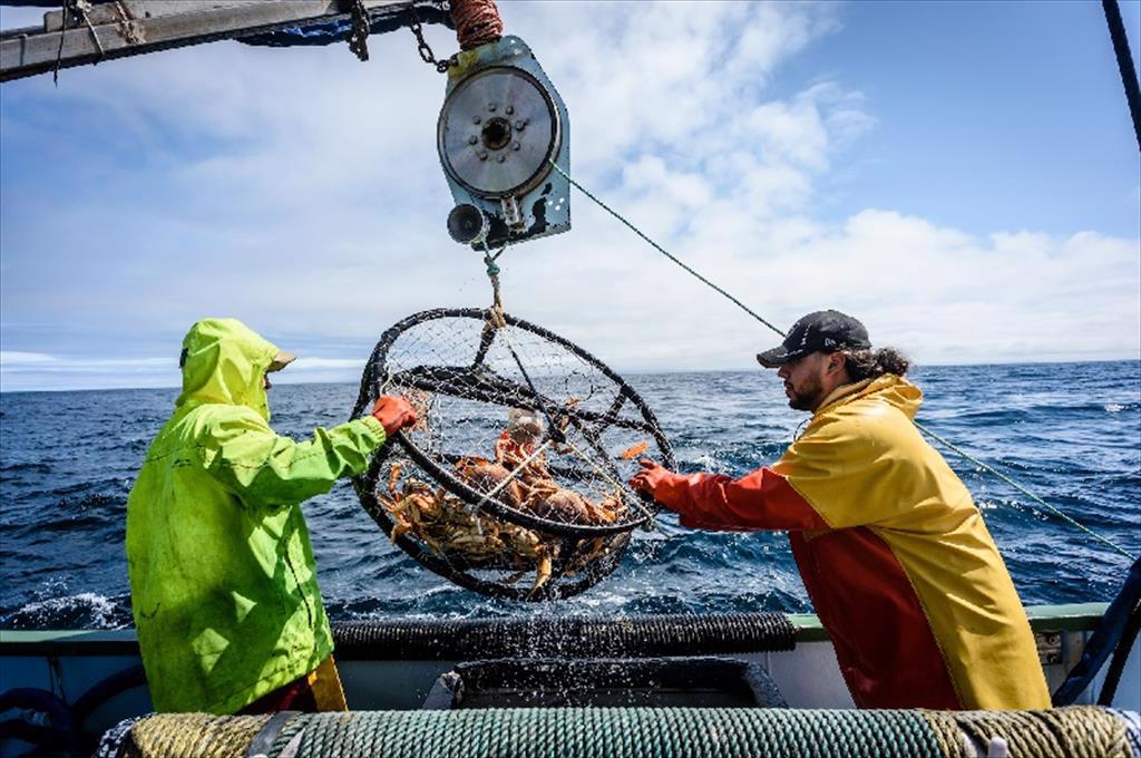 Thượng viện Mỹ cảnh báo tác động của biến đổi khí hậu lên đánh bắt thủy sản