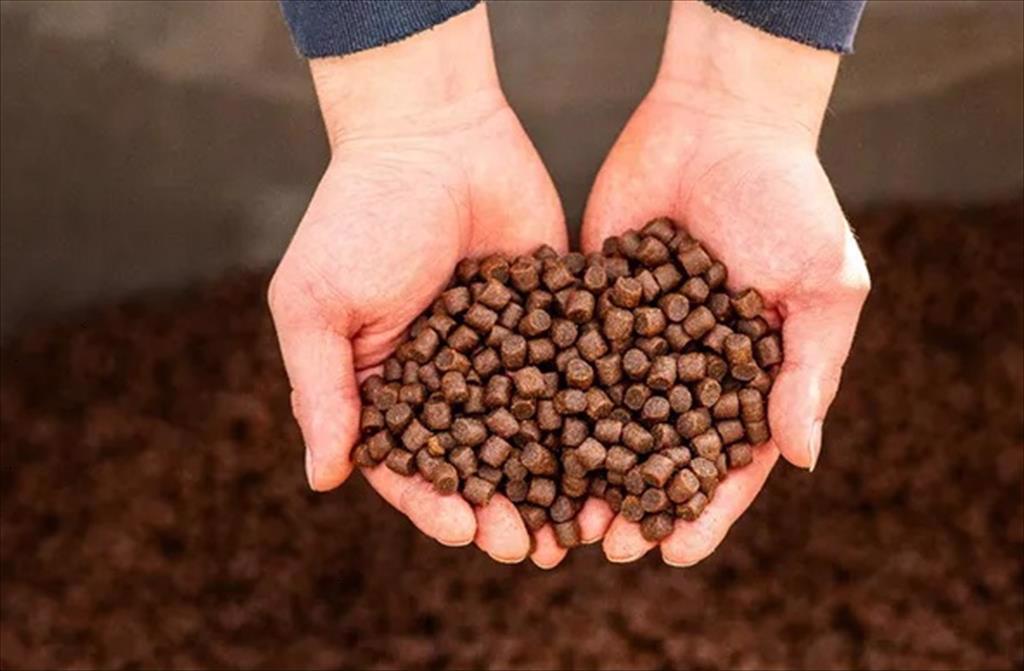 Chứng nhận ASC được cấp cho các nhà máy thức ăn chăn nuôi tiên phong