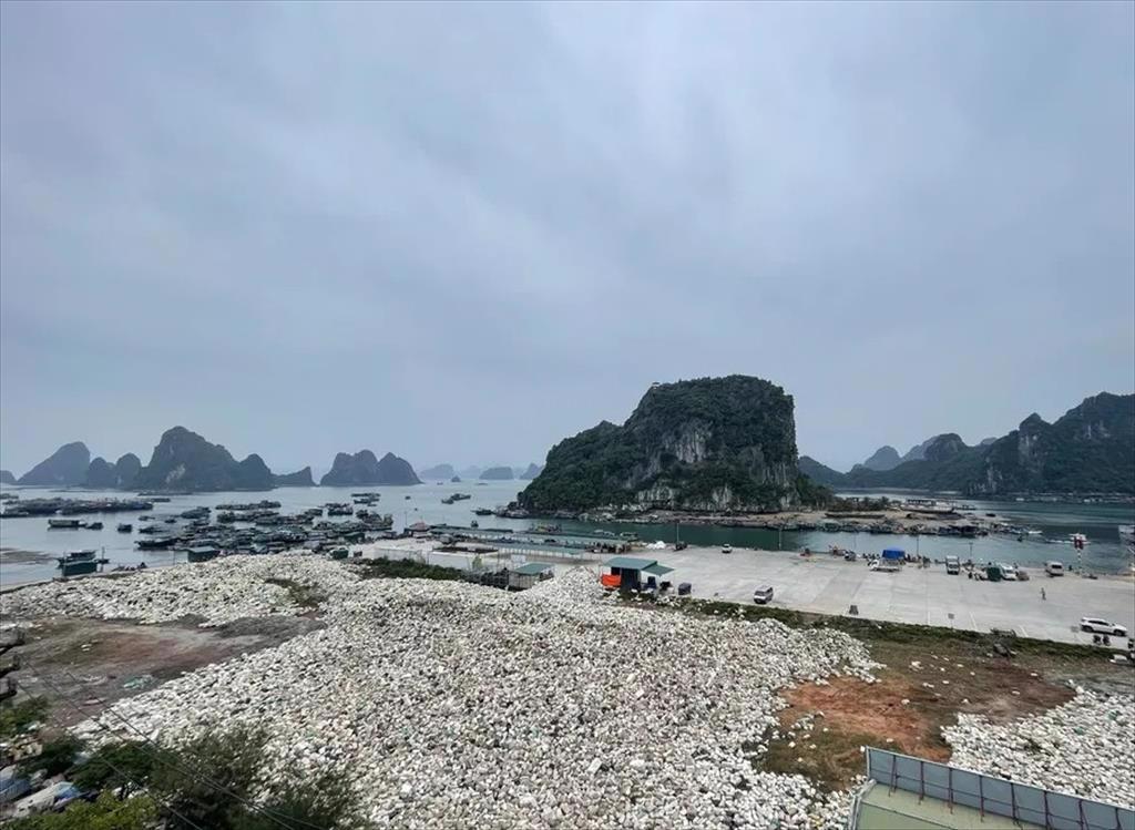 Quang Ninh replaces foam aquaculture floats to protect environment