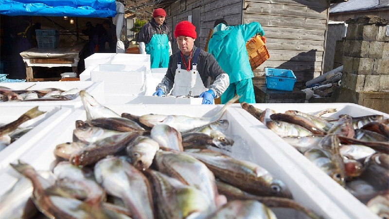 Nhập khẩu thủy sản của Nhật Bản giảm xuống dưới mức trước Covid