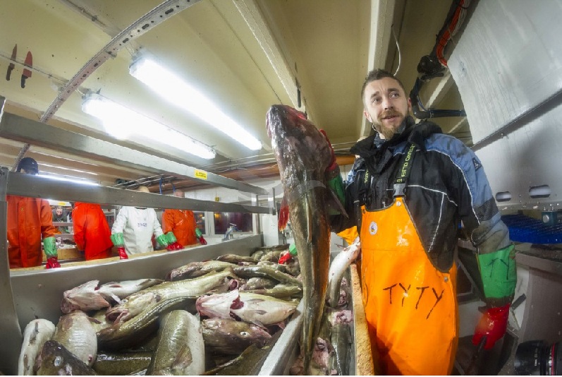 Thị trường cá tuyết Na Uy đảo chiều trong năm 2024