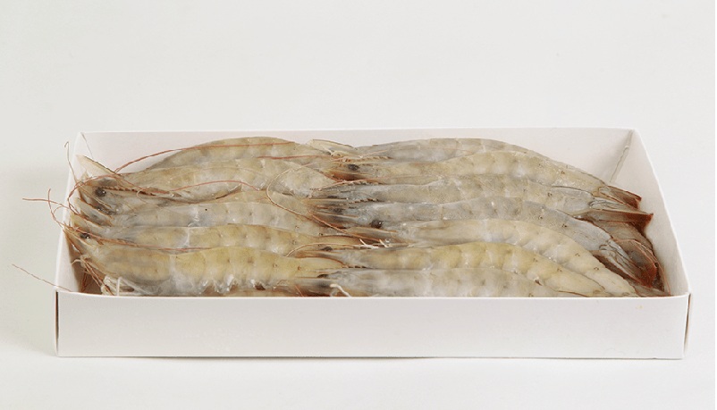 Omarsa (Ecuador) Ngành tôm sẽ đảo chiều và tái cân bằng