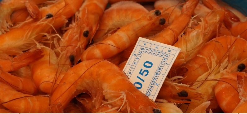 Nhập khẩu tôm của Trung Quốc cán mốc kỷ lục 1 triệu tấn năm 2023