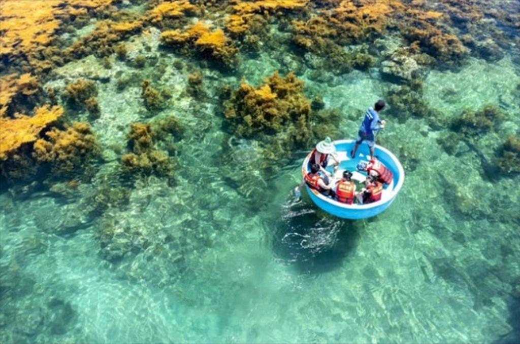 Phê duyệt Chương trình quốc gia bảo vệ và phát triển nguồn lợi thủy sản đến năm 2030