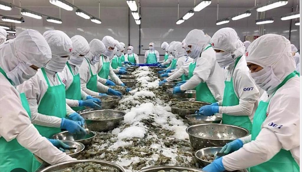 Xuất khẩu thủy sản và những mục tiêu năm 2024