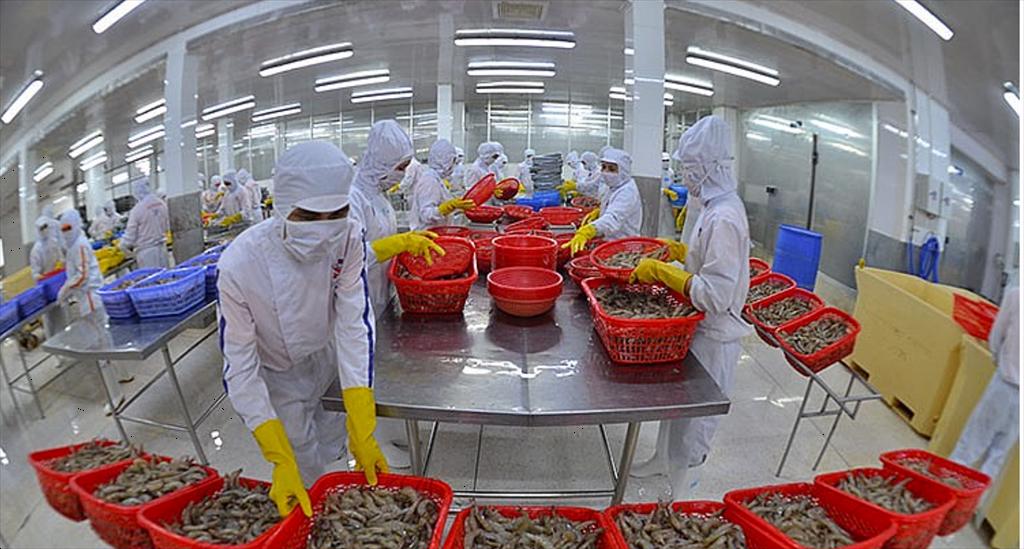 Xuất khẩu thủy sản tăng hơn 60% trong tháng 12024