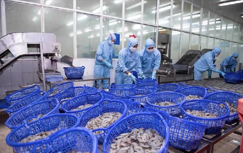 FIMEX VN - the largest Vietnamese shrimp exporter to Japan.