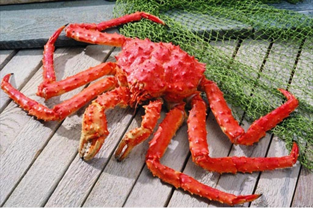 Xuất khẩu cua của Nga sang Trung Quốc năm 2023 tăng vọt 