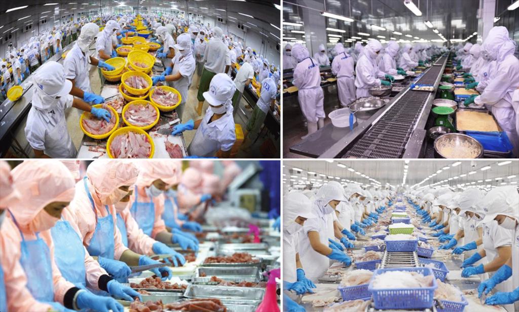 Xuất khẩu thủy sản cần những cú huých mạnh