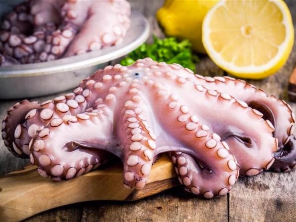 China increased octopus imports from Vietnam in 2023