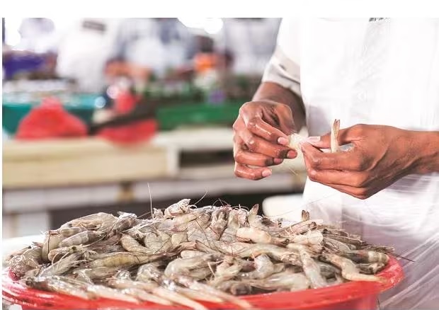 Xuất khẩu tôm Ấn Độ đối mặt với nhiều khó khăn trong năm 2023 