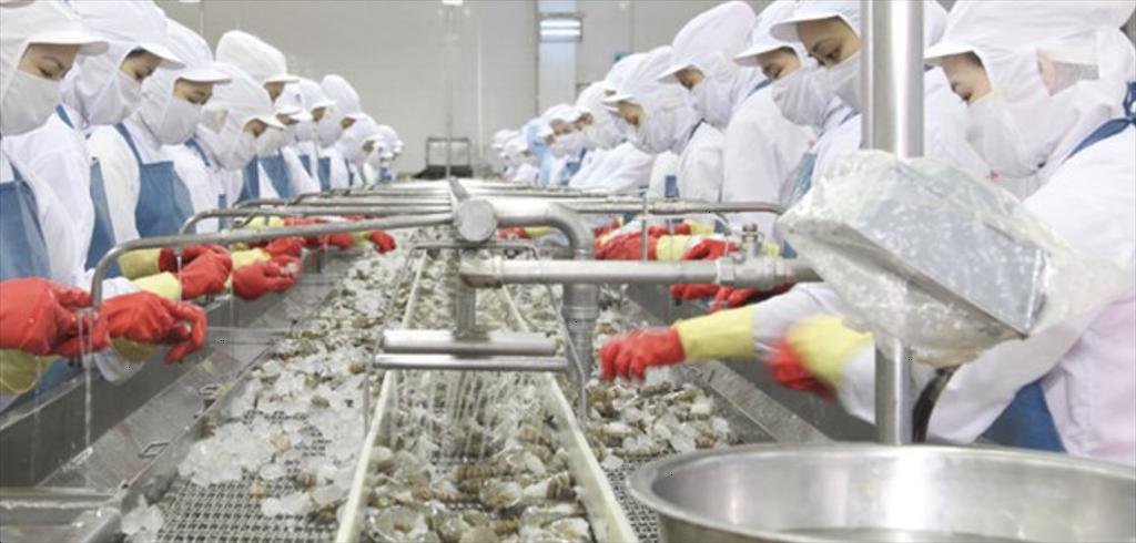 Businesses start export activities at the beginning of the new year