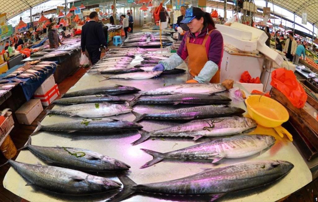 Mỹ lùi lệnh cấm nhập khẩu thủy sản có nguồn gốc từ Nga tới cuối tháng 52024