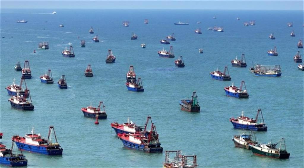 Ấn Độ kêu gọi cấm Trung Quốc và các thỏa thuận tiếp cận nghề cá của EU