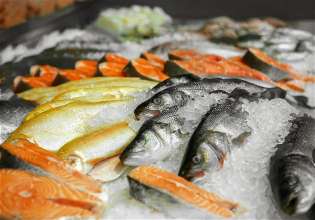 Canada mở rộng thương mại thủy sản với khu vực Ấn Độ Dương - Thái Bình Dương,