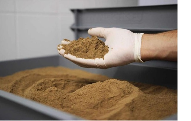 Ngành bột cá của Châu Âu đối mặt với nguy cơ thiếu hụt nguyên liệu 