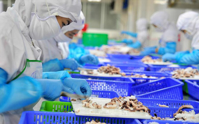 Trung Quốc tăng mạnh nhập khẩu mực, bạch tuộc từ Việt Nam trong tháng đầu năm