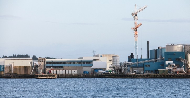 Xuất khẩu bột cá của Peru có thể phục hồi vào nửa cuối năm 2024