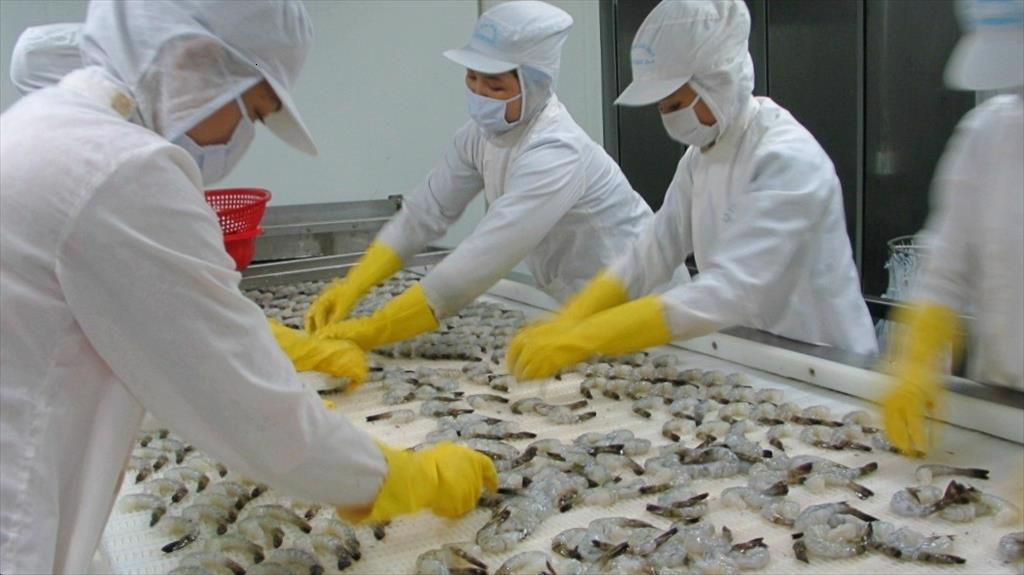 Thực phẩm Sao Ta (FMC) Doanh thu 2 tháng đầu năm tăng trưởng tích cực