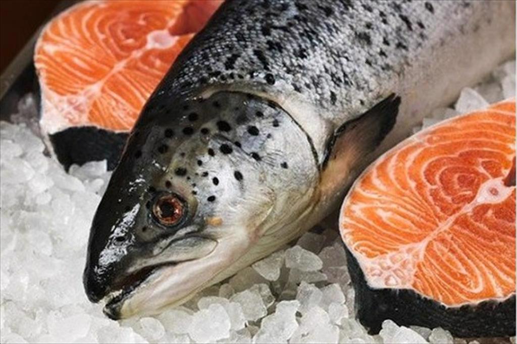 Na Uy đứng đầu thế giới về xuất khẩu thủy sản tươi sống