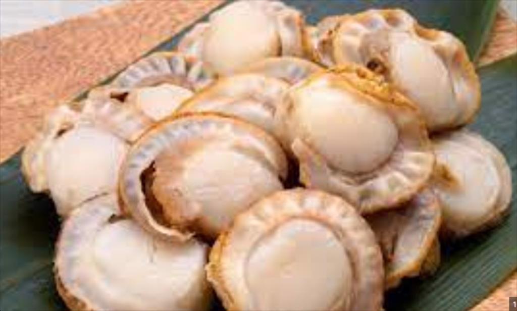 Nhật Bản Sò điệp Hokkaido vào chính vụ, giá giảm 50%