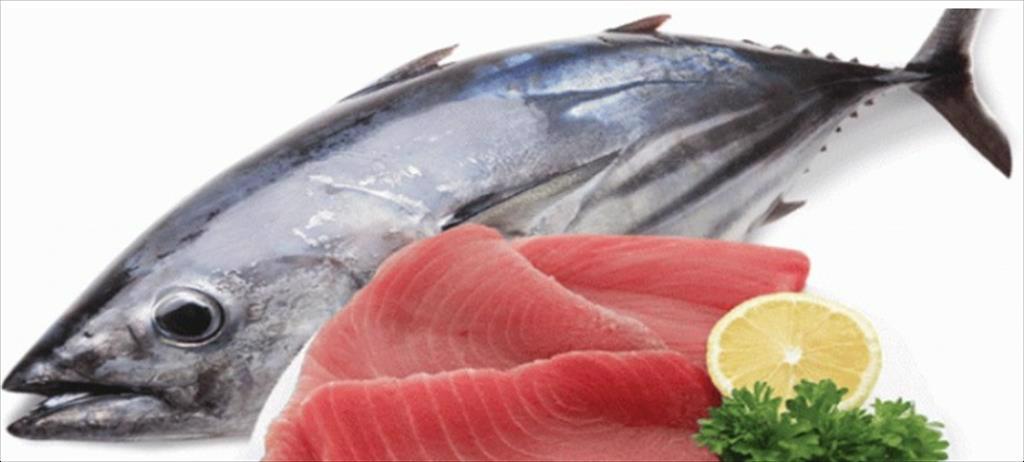 Nhu cầu cá ngừ vây xanh giảm ở Nhật Bản 