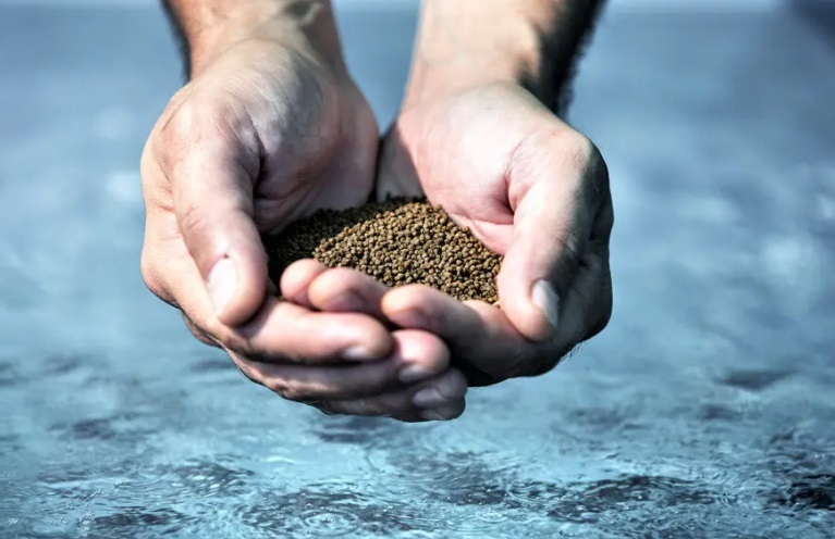 Nghiên cứu đánh giá các thành phần thức ăn thủy sản miễn phí