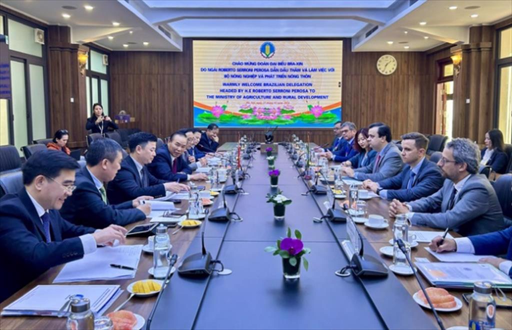 Đề nghị Brazil thay đổi tiêu chuẩn nhập khẩu tôm và cá tra của Việt Nam