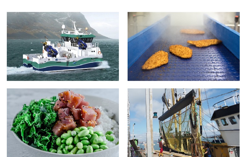 Ngành thủy sản tăng sức chống chịu với biến đổi khí hậu