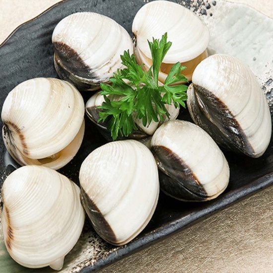 Infographic Xuất khẩu nhuyễn thể có vỏ của Việt Nam 2 tháng đầu năm 2024