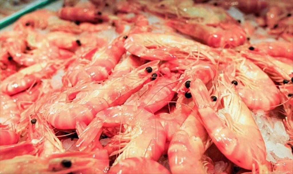 Sysco ngừng mua tôm Ấn Độ sau khi có báo cáo cáo buộc các vấn đề về môi trường, lao động 