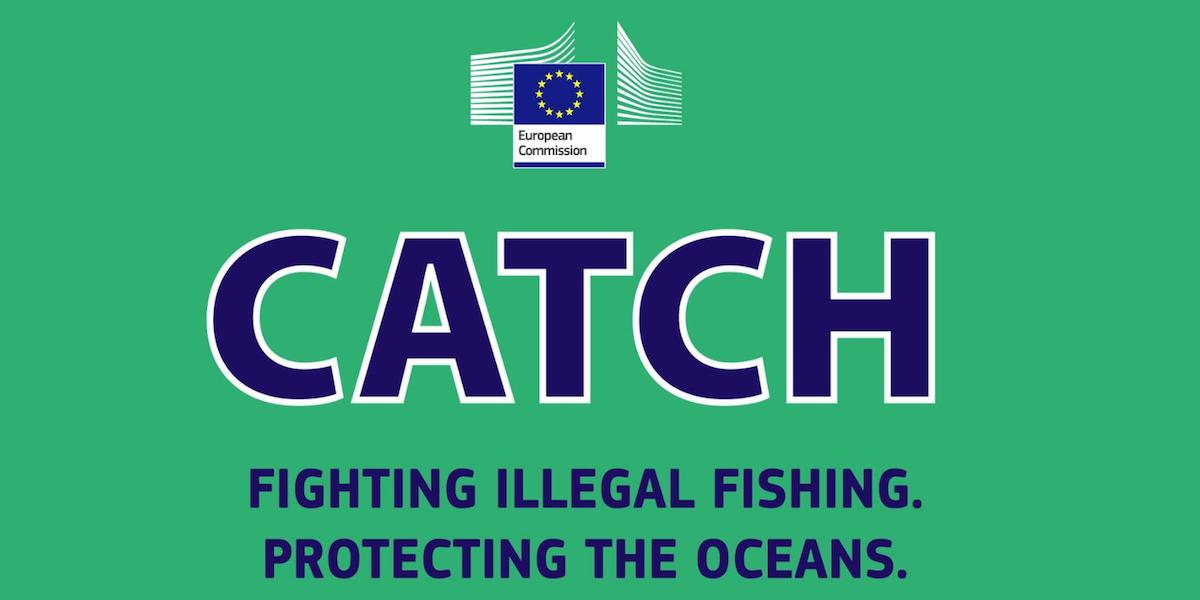 Có gì mới trong chương trình chứng nhận khai thác của EU sau khi sửa đổi quy định IUU của EU (Phần 1)