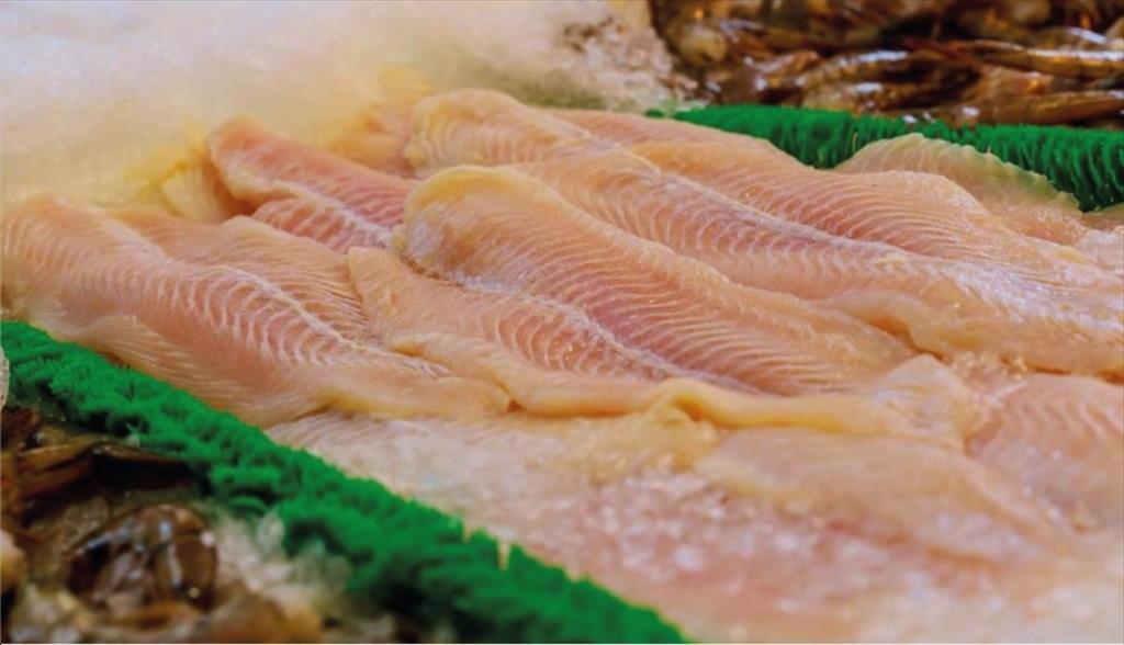 Xuất khẩu cá rô phi của Colombia ổn định dù đối mặt với nhiều thách thức 