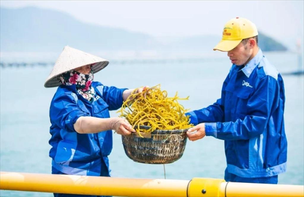 Doanh nghiệp mong có cơ chế nhanh, thoáng từ hội nghị nuôi biển