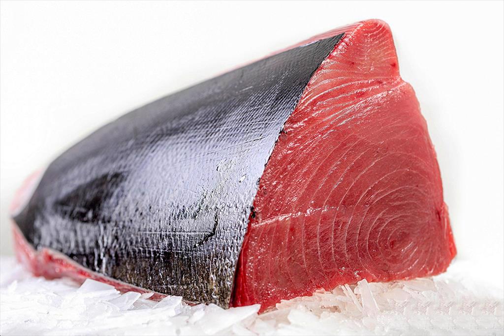 Bồ Đào Nha tăng nhập khẩu cá ngừ Việt Nam trong 2 tháng đầu năm