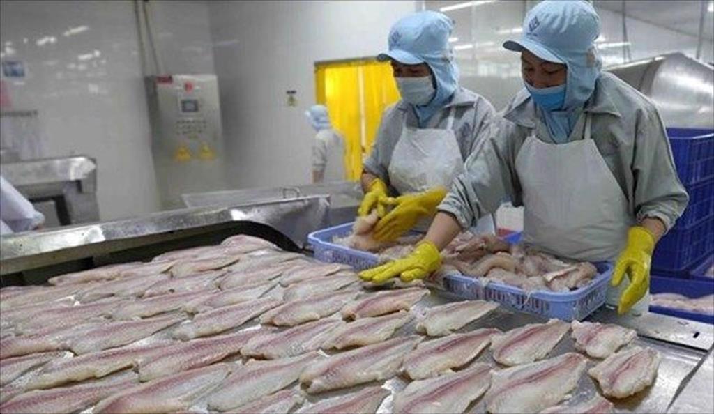 Pangasius exports to US market increased, to China decreased in first 2 months