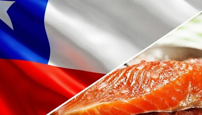 Chile Xuất khẩu thủy sản đầu năm tăng nhẹ 