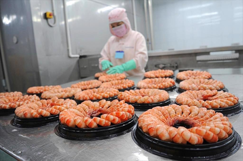 Thực phẩm Sao Ta (FMC) Doanh thu quý 12024 tăng 14%, sẵn sàng đương đầu với vụ kiện chống trợ cấp