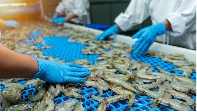 Ấn Độ SEAI phản đối quy định CVD của Mỹ