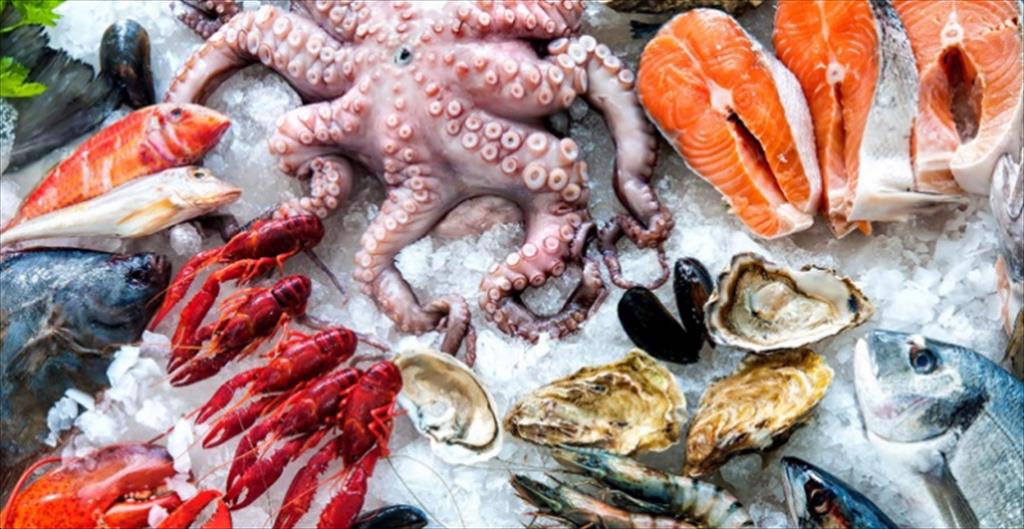 Thị trường thủy sản châu Âu, quý I2024