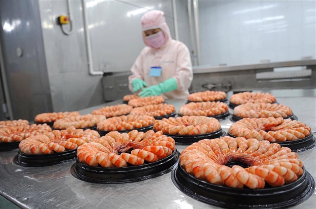 Sao Ta Foods (FMC) Revenue in the first quarter of 2024 increased by 14%