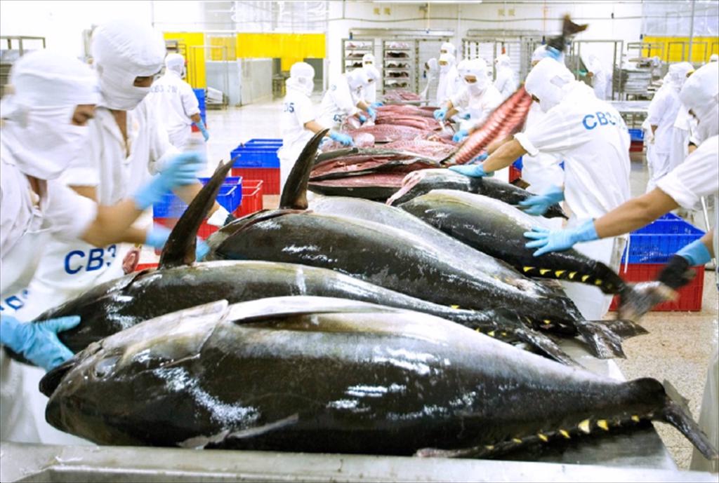 Vietnam tuna exports to Poland soar