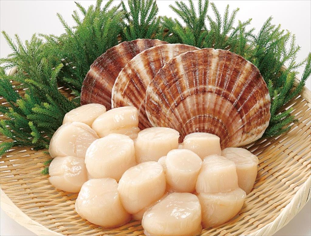 Doanh nghiệp Nhật Bản đầu tư chế biến sò điệp ở Mexico