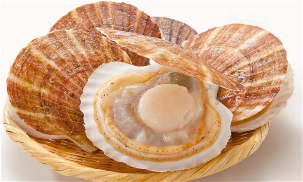 Sò điệp Nhật Bản chế biến tại Mexico tiến vào thị trường Mỹ