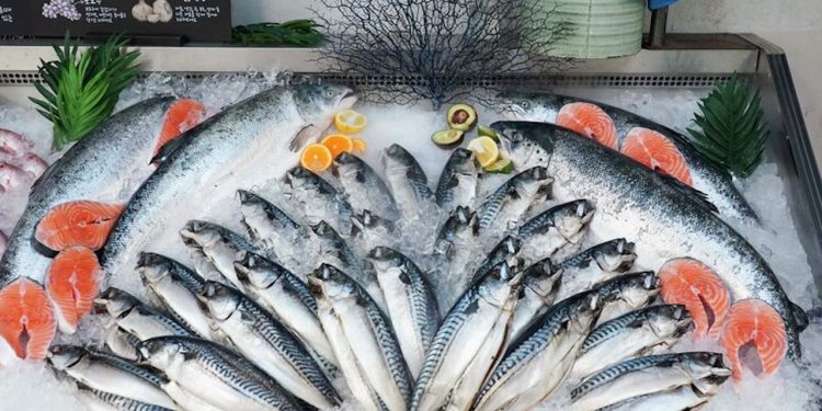 Xuất khẩu thủy sản của Na Uy đạt kỷ lục trong tháng 22024